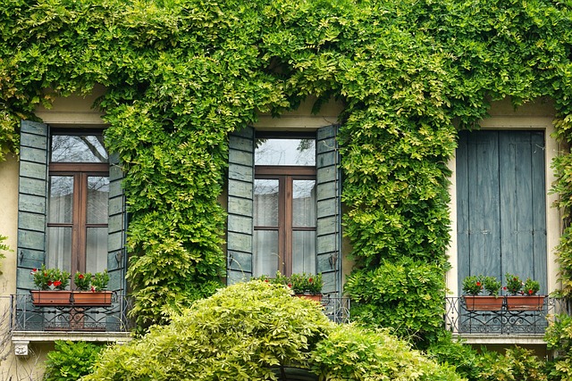 Best Time of Year for Window Installation in Chicago Best Time of Year for Window Installation in Chicago